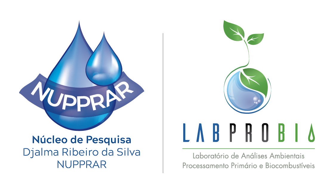 UFDPar é selecionada para treinamento e Master Class da Bioimaging Brasil  sobre microscopia intravital — Universidade Federal do Delta do Parnaíba  UFDPar